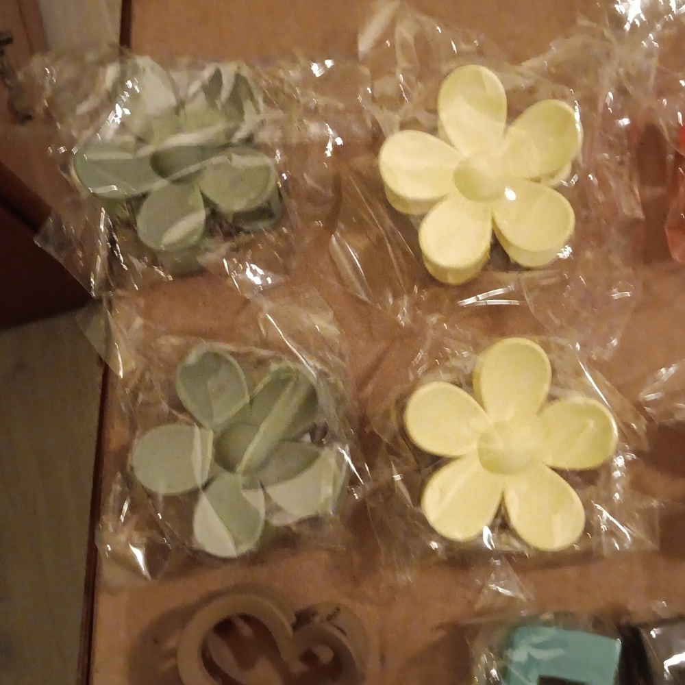 New Claw Hair Clips